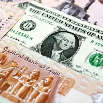سعر الدولار اليوم مقابل الجنيه المصري في البنوك.. العملة الأمريكية الآن